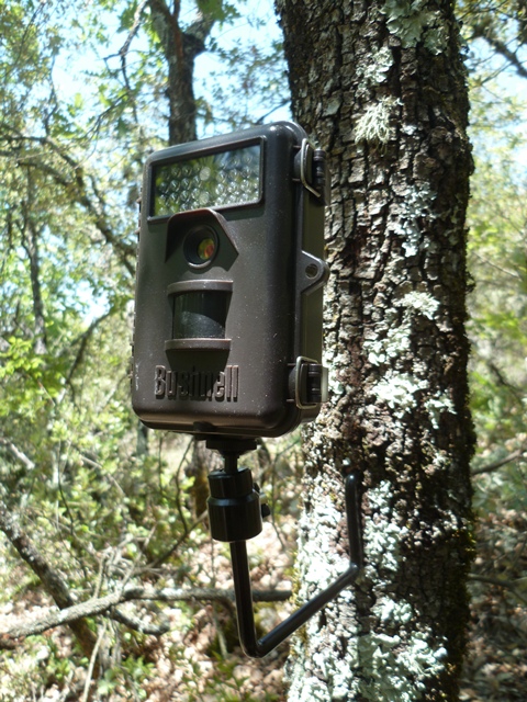 Bushnell - Support pour montage sur arbre