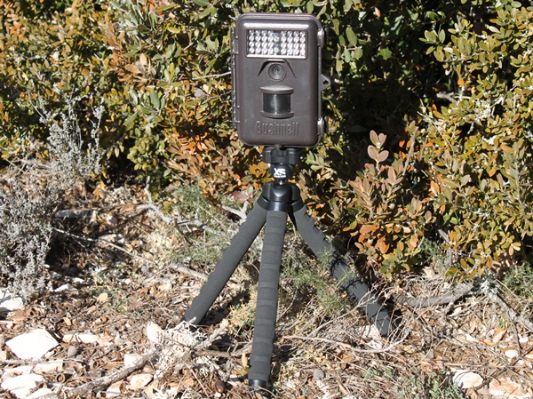 Tripod Xsories