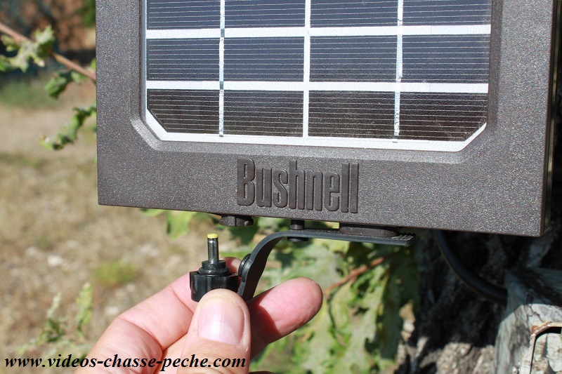 Panneau solaire Bushnell Aggressor 119756