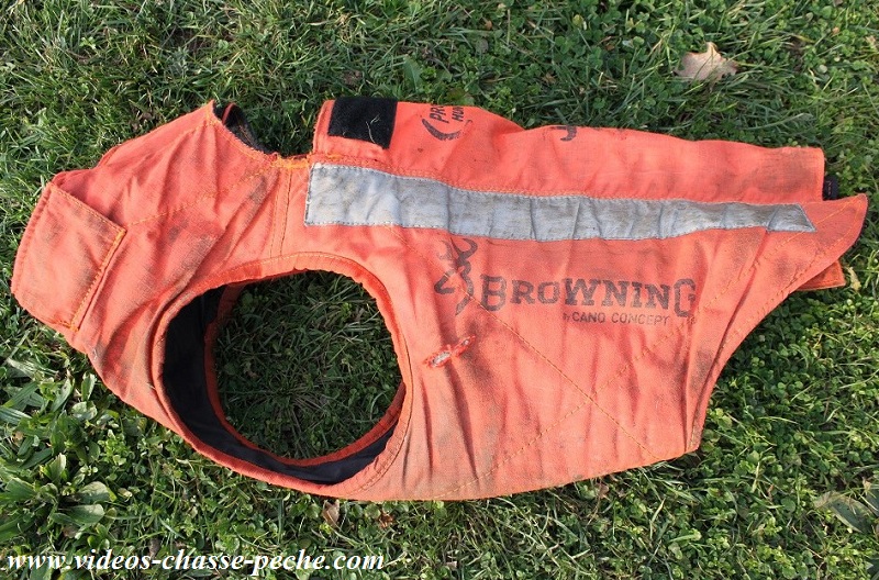 Browning protect hunter