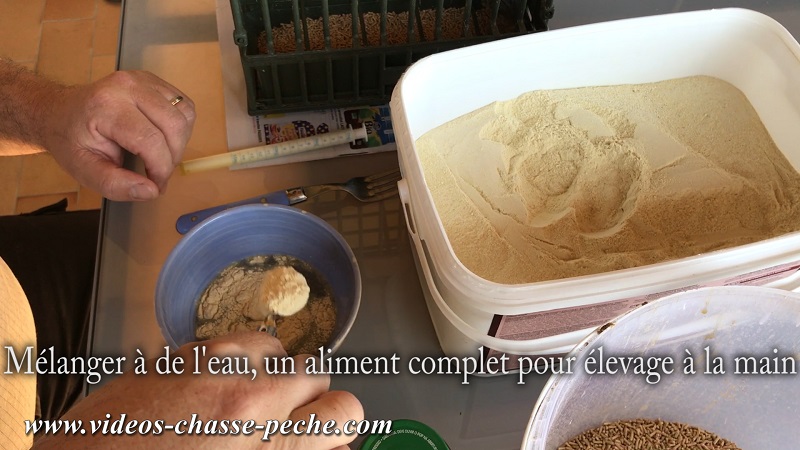 aliment complet pour oiseaux