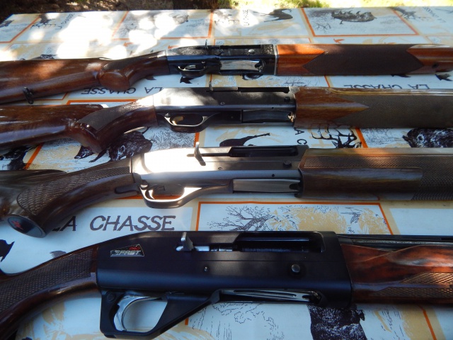 Fusils semi automatiques