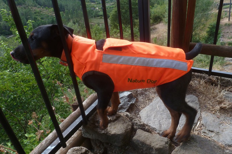 Gilet de protection pour chien de sanglier Nature Dog
