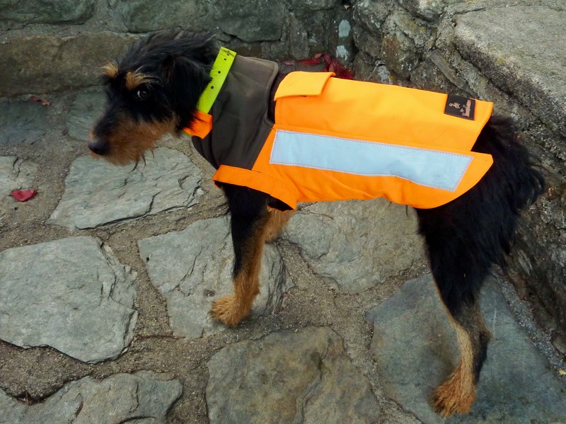 Gilet de protection pour chien de sanglier Verney-Carron