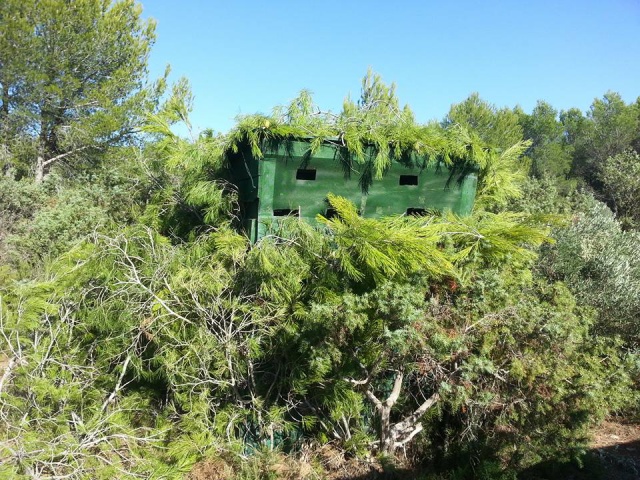 Poste à feu grives