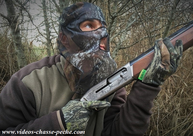chasse à la grive chasse à la grive