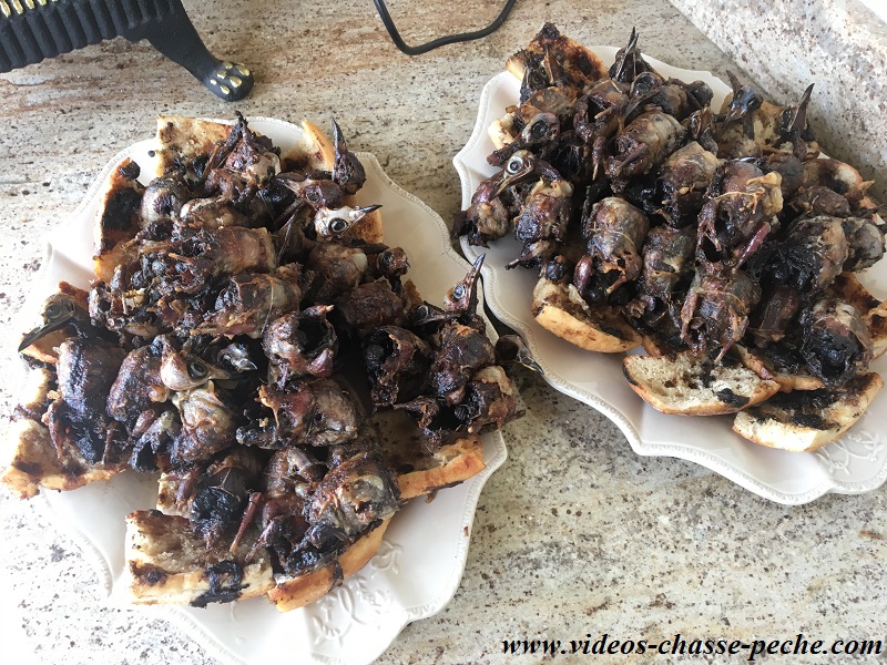 Grives à la broche