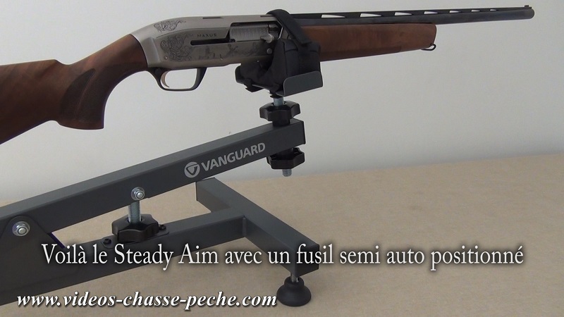 Steady Aim de Vanguard