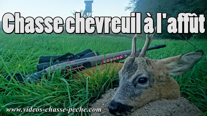 chasse chevreuil