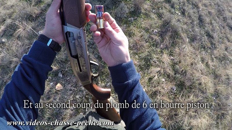 Chasse au faisan