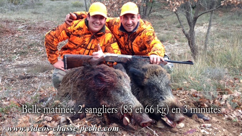 Chasse au sanglier en battue