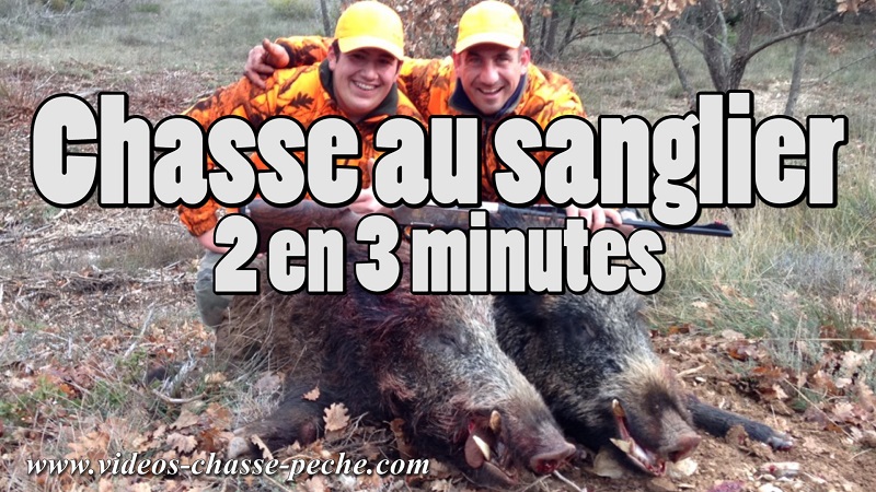 Chasse sanglier en battue