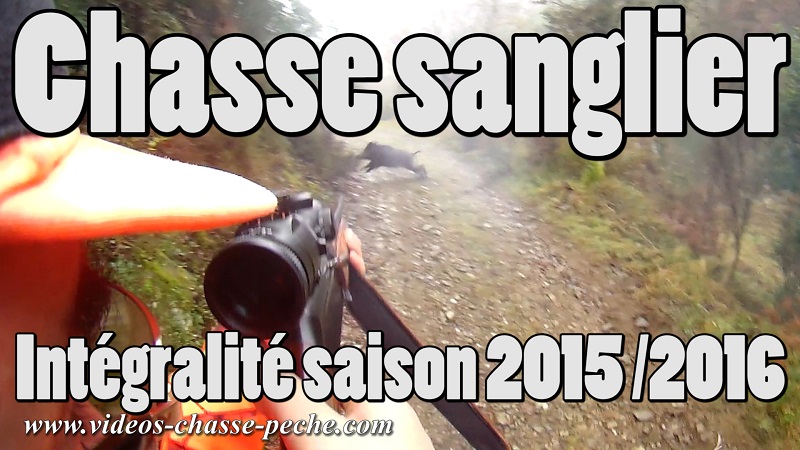 chasse au sanglier 2016