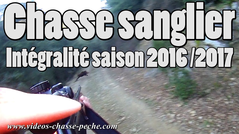 Chasse sanglier 2016 2017