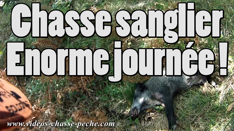 Chasse sanglier