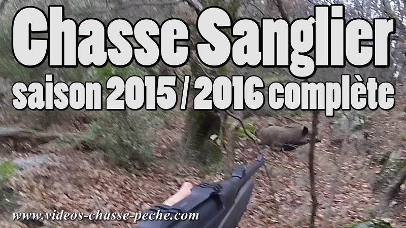 Chasse sanglier 2016