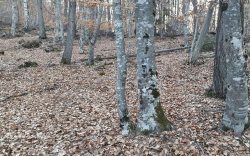 2022-03-22-18.19.28.md.jpg 2022-03-22-18.19.28.md.jpg