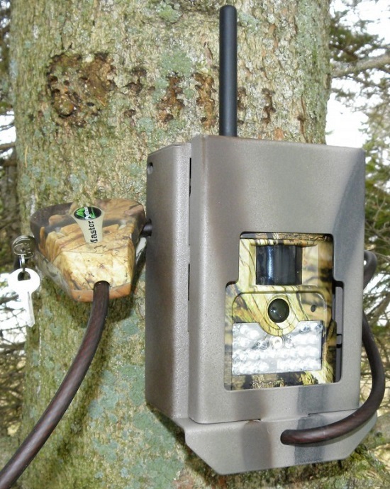 boitier sécurité Bolyguard BG584