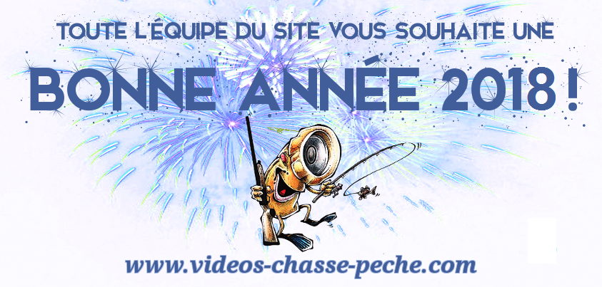 Bonne année 2018
