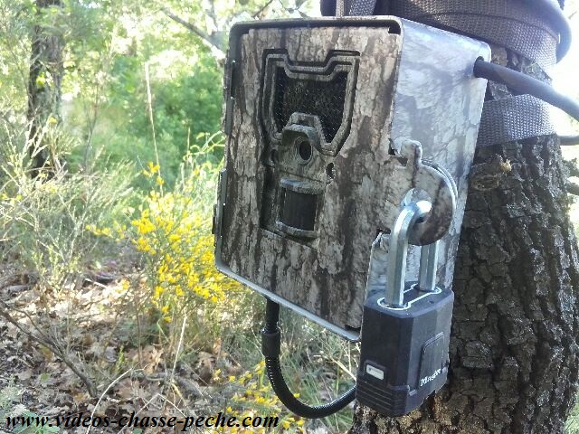 Bushnell Trophy Cam Aggressor No Glow 119877