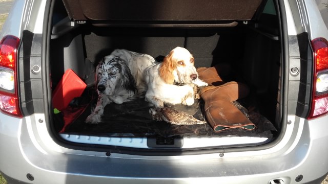 Chasse bécasse