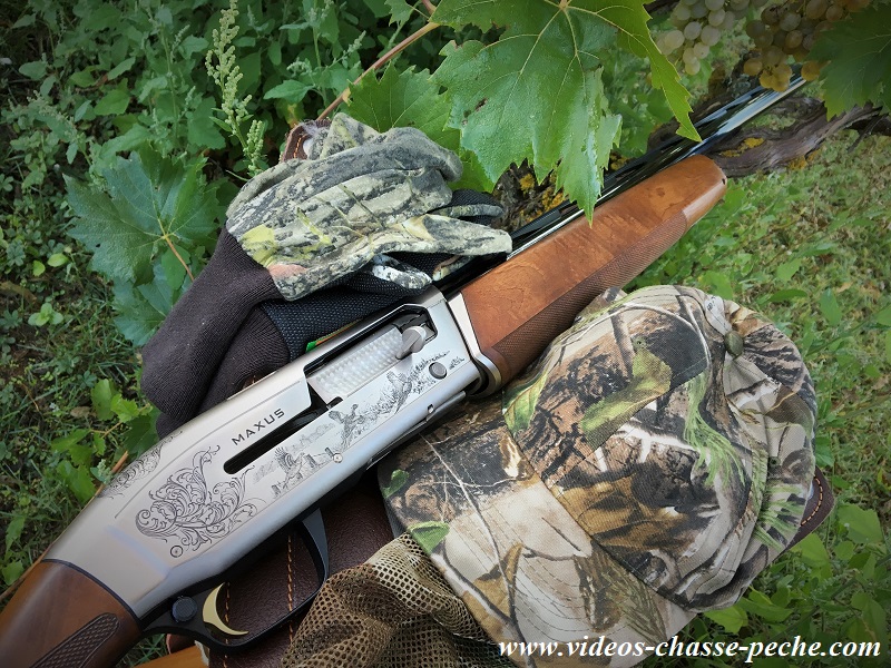 Chasse à la grive