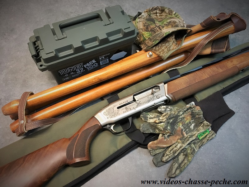 Chasse à la grive