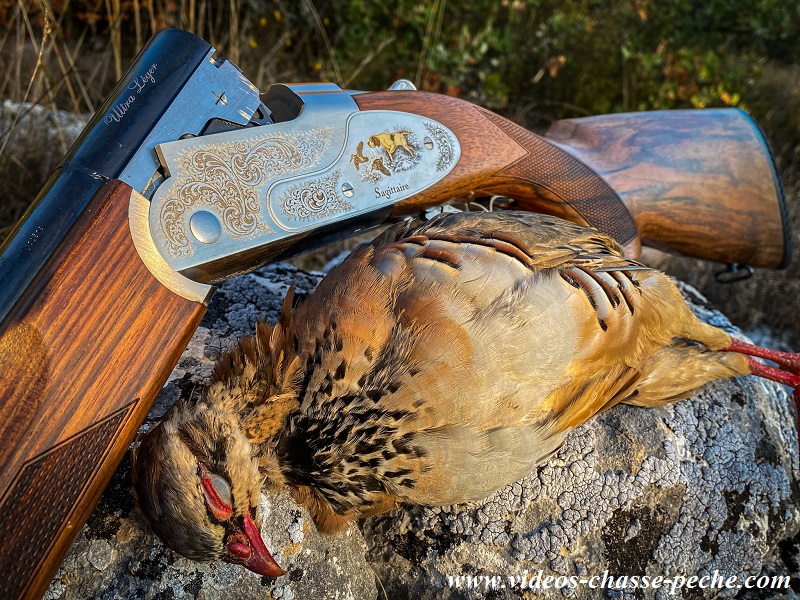 chasse-petit-gibier-saison-2020-2021-2.jpg chasse-petit-gibier-saison-2020-2021-2.jpg