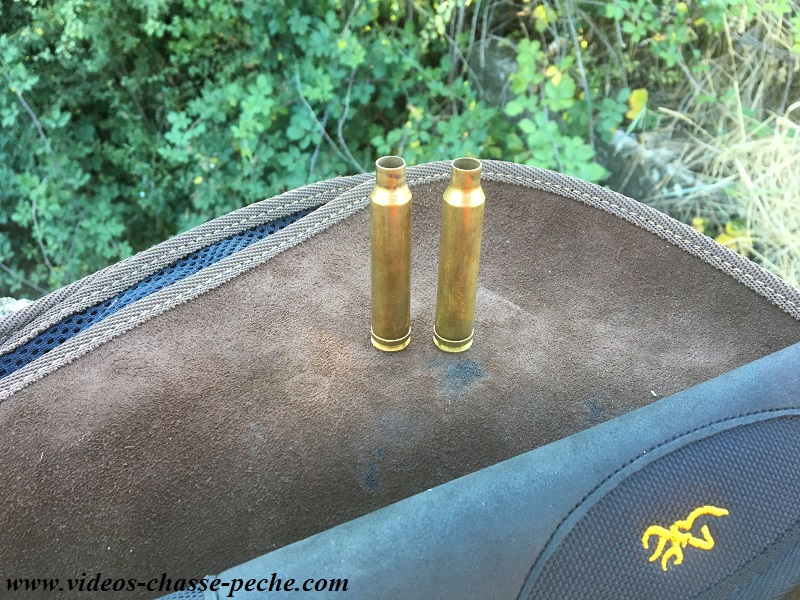 chasse sanglier 2017 2018 chasse sanglier 2017 2018