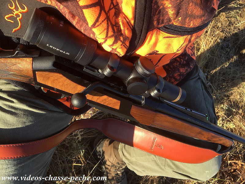 chasse sanglier 2017 2018 chasse sanglier 2017 2018