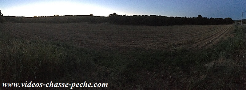 chasse sanglier 2017 2018 chasse sanglier 2017 2018