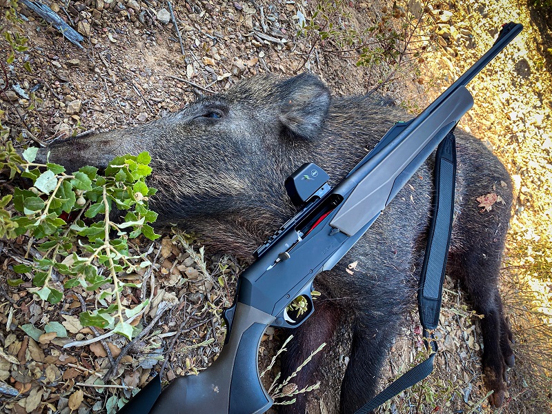 Chasse au sanglier Chasse au sanglier