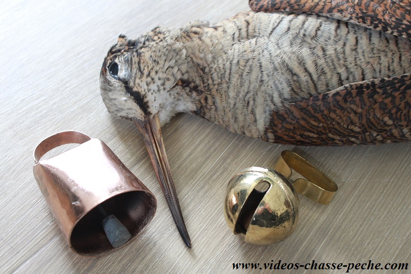 cloche ou grelot bécasse
