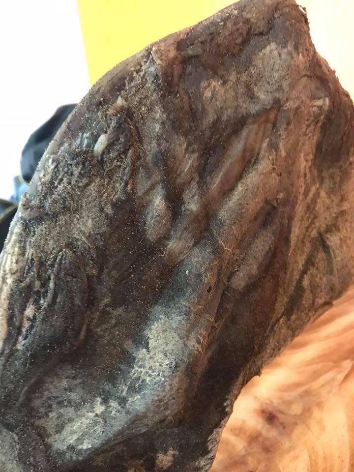 Épaule de sanglier séchée façon jambon cru Épaule de sanglier séchée façon jambon cru