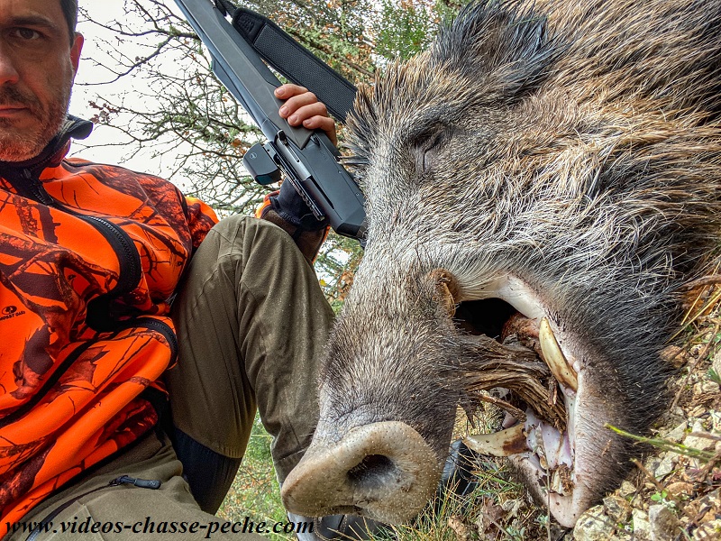 chasse sanglier