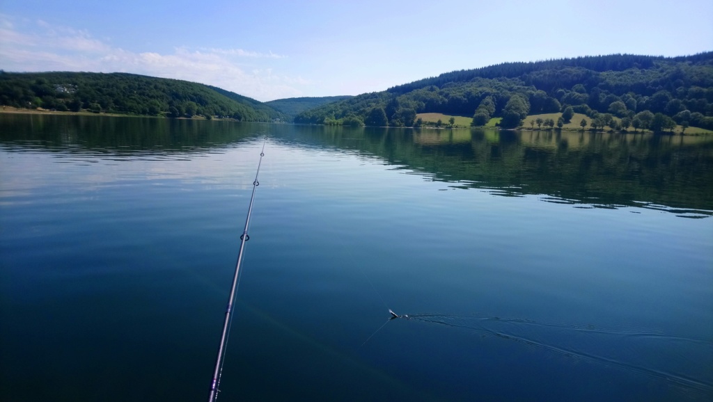 Pche aux carnassiers en eau douce 