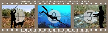 videos-chasse-peche.com - Vidéos chasse, chasse sous marine, pêche et tests matériel videos-chasse-peche.com - Vidéos chasse, chasse sous marine, pêche et tests matériel