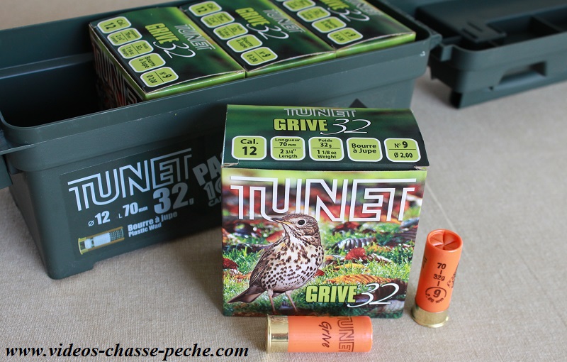 chasse à la grive