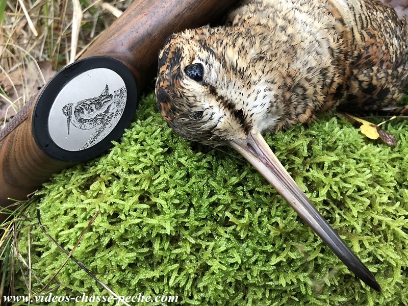 Verney Carron Sagittaire bécassier