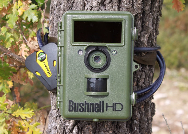 Bushnell NatureView et cble Python