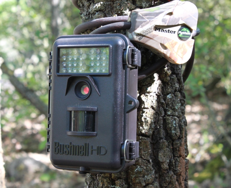 Bushnell Trophy Cam avec cble Phython