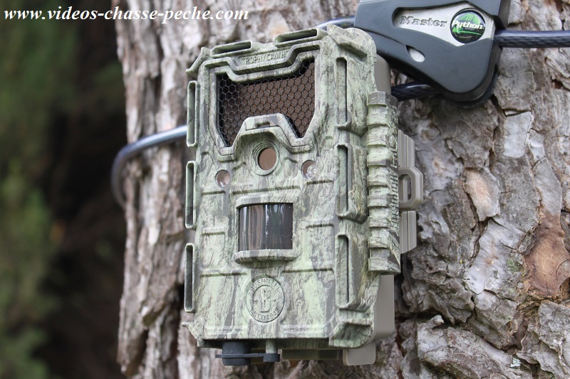 Bushnell Trophy Cam Aggressor No Glow 119877