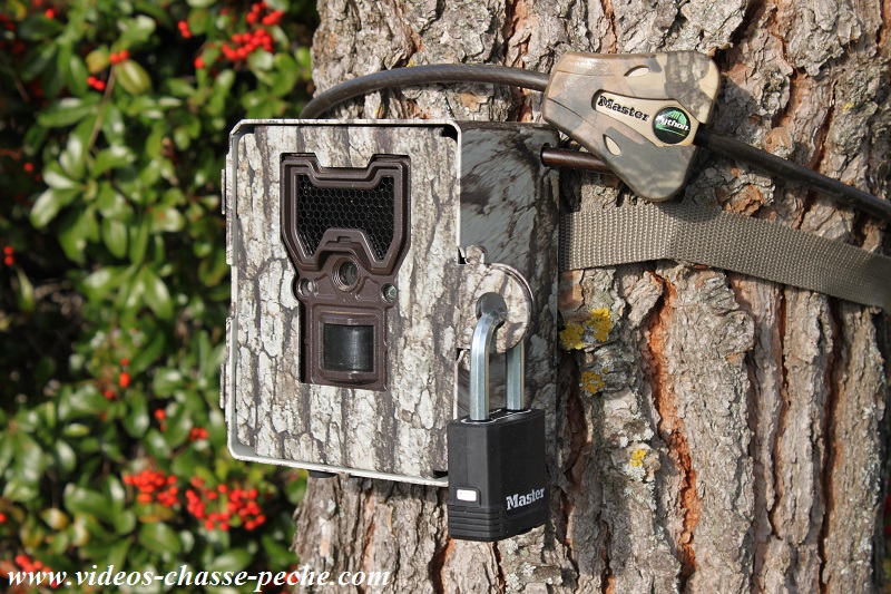 Bushnell Aggressor et caisson anti vandale