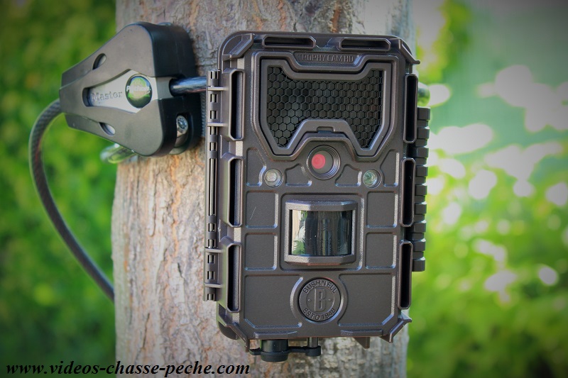 Bushnell Aggressor et cble Python