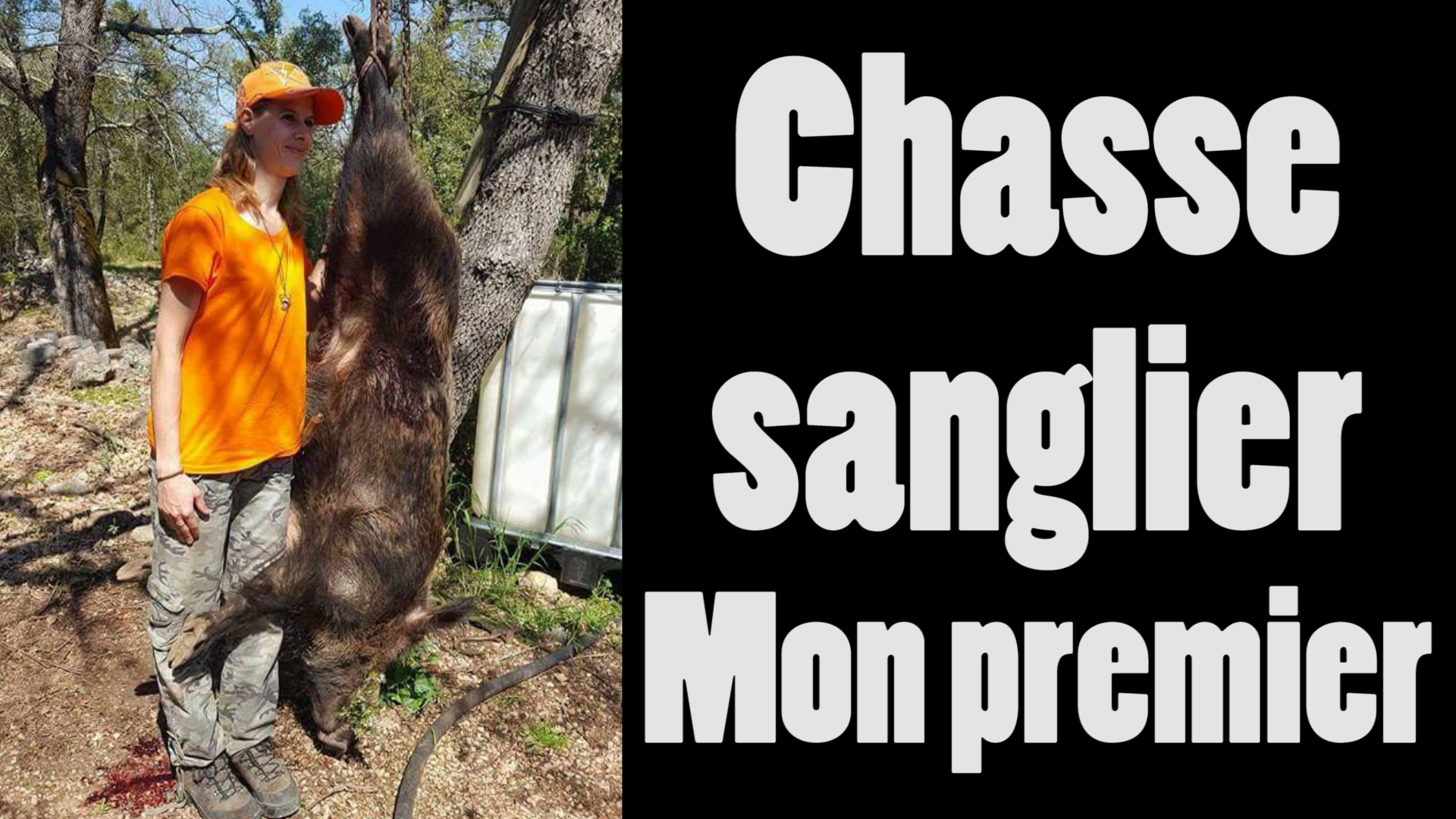 chasse au sanglier en battue<br />