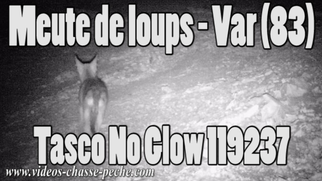 Loups dans le Var