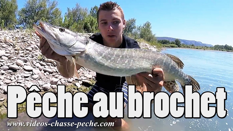 Pche au brochet en Durance